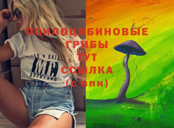 mdpv Елизово